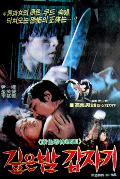 watch-Suddenly in the Dark (1981)