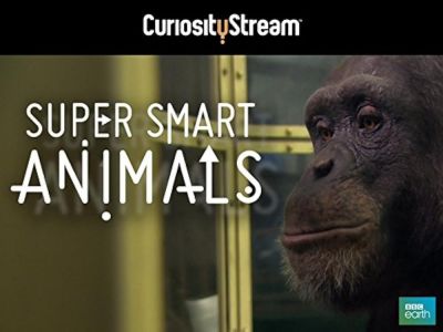watch-Super Smart Animals (2012)