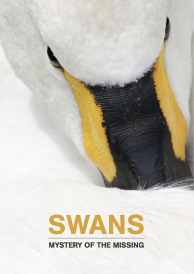 watch-Swans: Mystery of the Missing (2019)