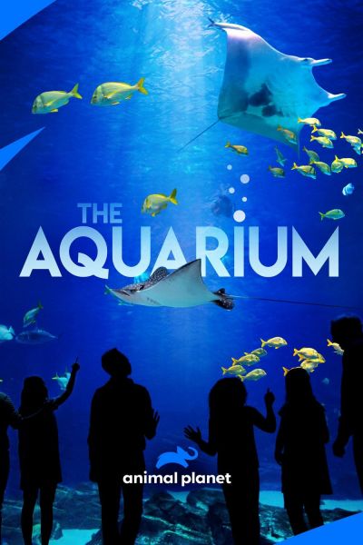 watch-The Aquarium (2019)