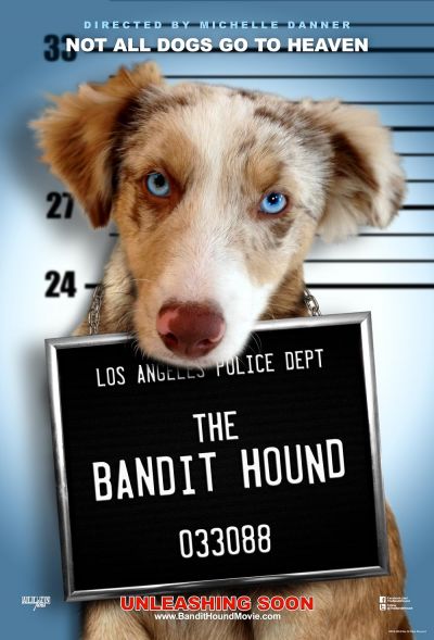 watch-The Bandit Hound (2016)
