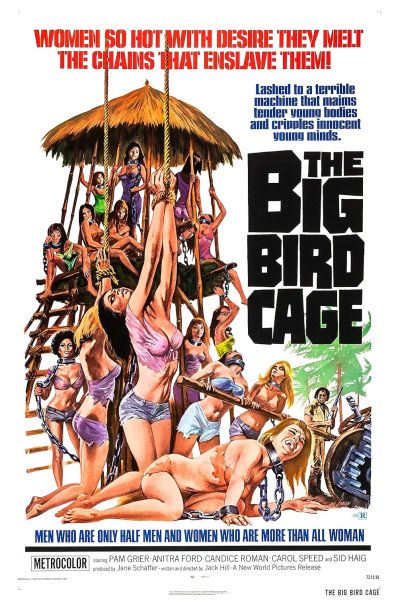 watch-The Big Bird Cage (1972)