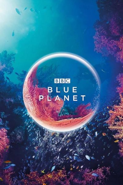 watch-The Blue Planet (2002)