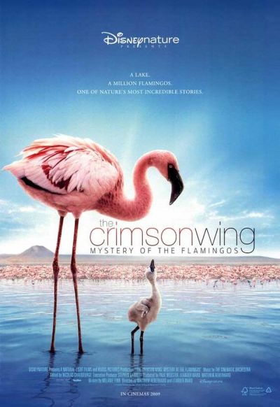watch-The Crimson Wing: Mystery of the Flamingos (2009)