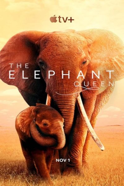 watch-The Elephant Queen (2019)