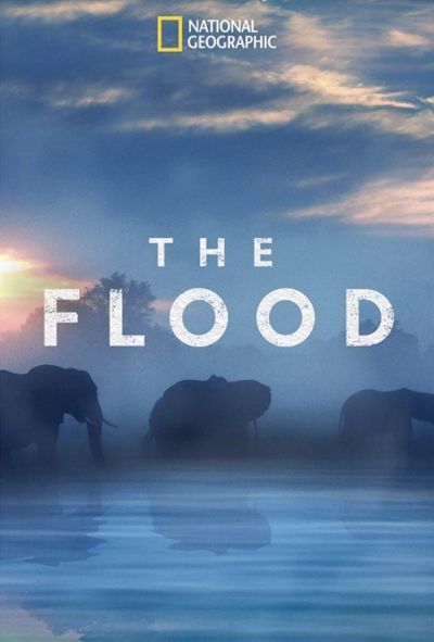 watch-The Flood (2018)