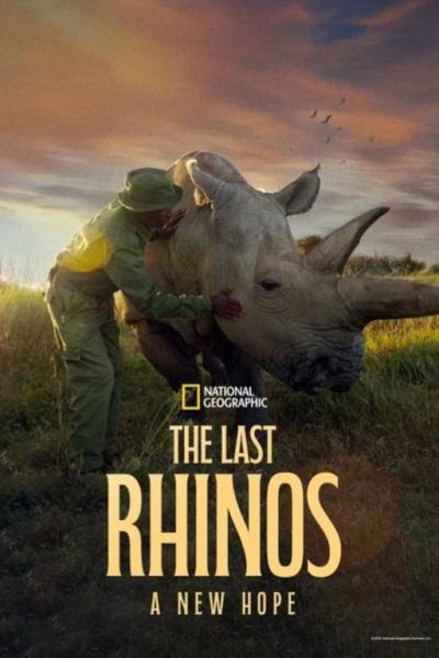 watch-The Last Rhinos: A New Hope (2025)
