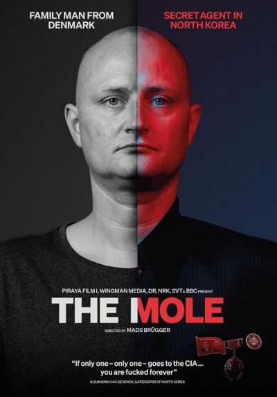 watch-The Mole: Undercover in North Korea (2020)