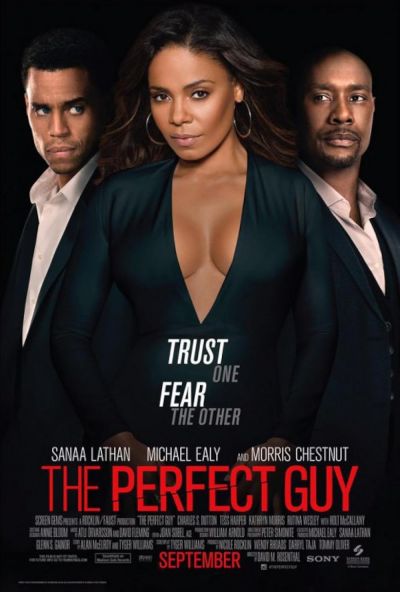 watch-The Perfect Guy (2015)