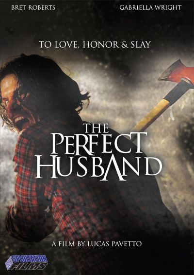 watch-The Perfect Husband (2014)