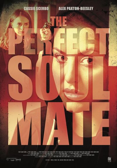 watch-The Perfect Soulmate (2017)