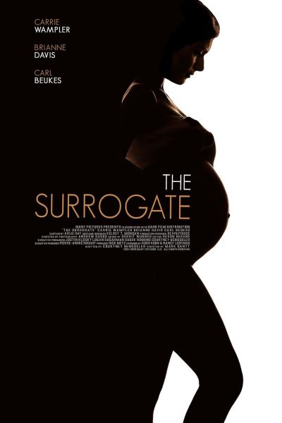 watch-The Secret Life of a Celebrity Surrogate (2020)