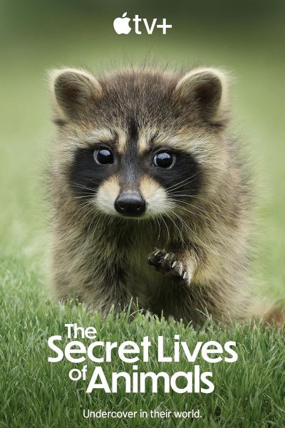 watch-The Secret Lives of Animals (2024)