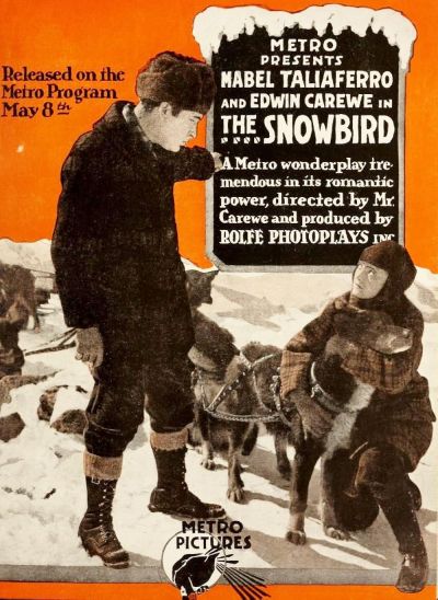 watch-The Snowbird (1916)