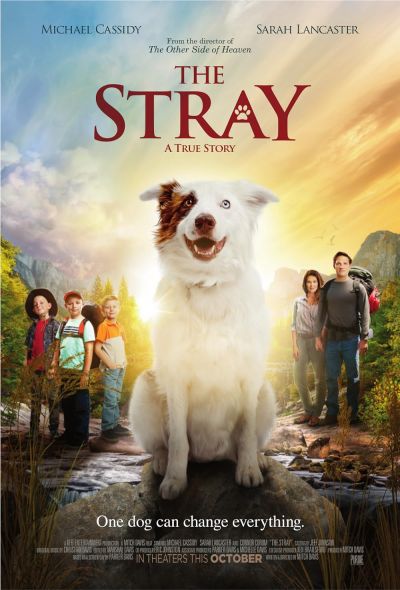 watch-The Stray (2017)