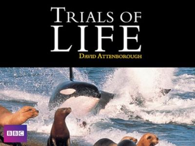 watch-The Trials of Life (1990)