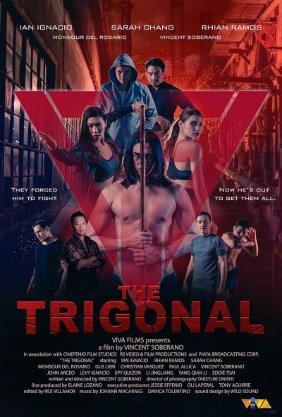 watch-The Trigonal: Fight for Justice (2020)