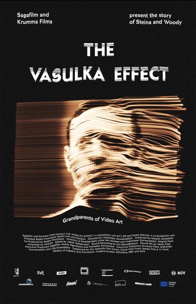 watch-The Vasulka Effect (2019)