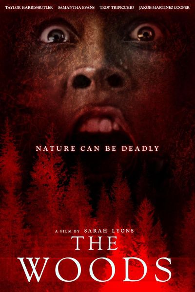 watch-The Woods (2024)