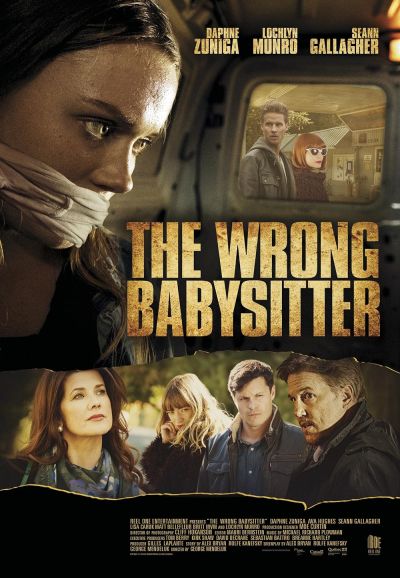 watch-The Wrong Babysitter (2017)