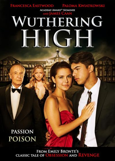 watch-The Wrong Boyfriend (2015)