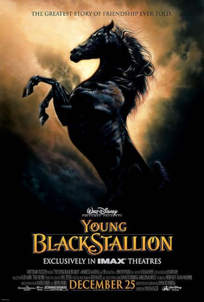 watch-The Young Black Stallion (2003)