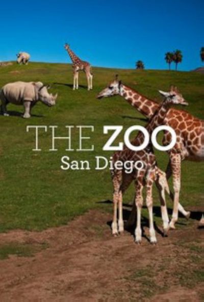 watch-The Zoo: San Diego (2019)