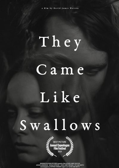 watch-They Came Like Swallows (2020)