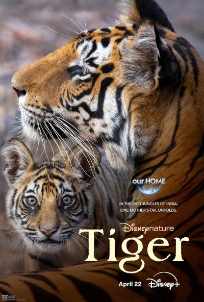 watch-Tiger (2024)