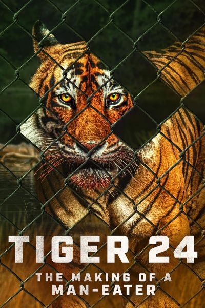 watch-Tiger 24 (2023)