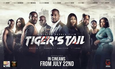 watch-Tiger's Tail (2022)