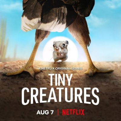 watch-Tiny Creatures (2020)