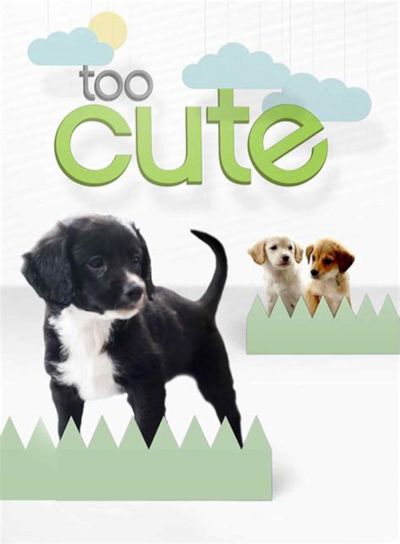 watch-Too Cute! (2011)