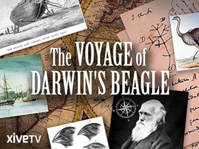 watch-Voyage of Darwin's Beagle: On the Future of Species (2012)