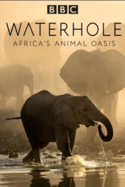watch-Waterhole: Africa's Animal Oasis (2020)