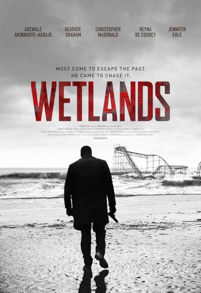 watch-Wetlands (2017)