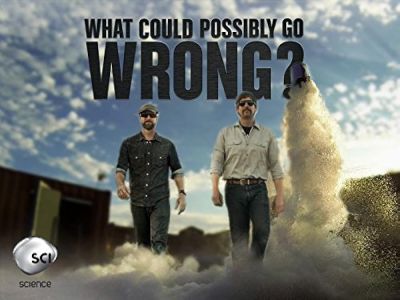 watch-What Could Possibly Go Wrong? (2015)