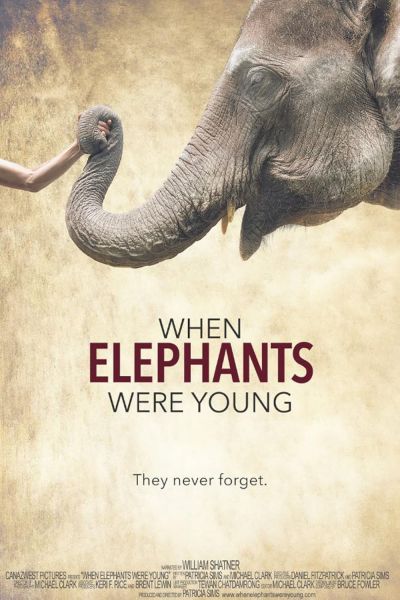 watch-When Elephants Were Young (2016)