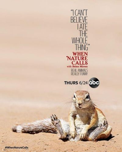 watch-When Nature Calls (2021)