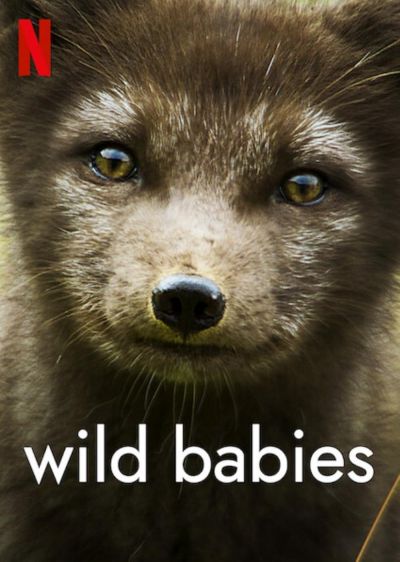 watch-Wild Babies (2022)