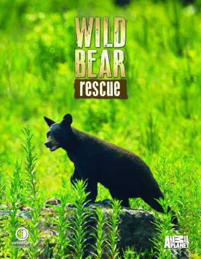watch-Wild Bear Rescue (2017)