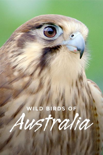 watch-Wild Birds of Australia (2016)