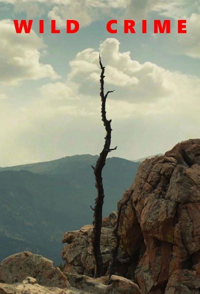 watch-Wild Crime (2021)