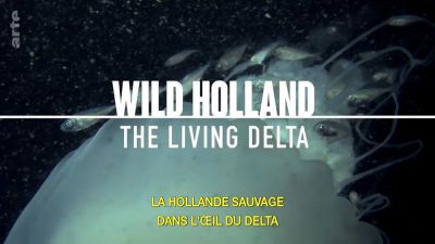 watch-Wild Holland (2017)