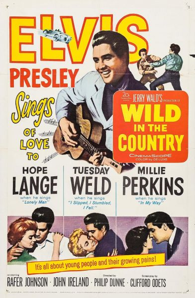 watch-Wild in the Country (1961)