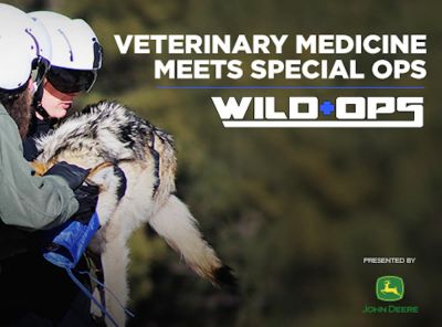 watch-Wild Ops (2017)