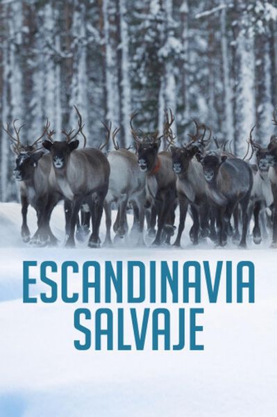 watch-Wild Scandinavia (2023)