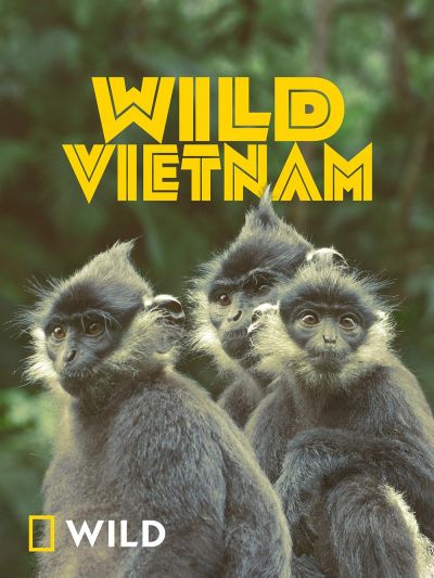 watch-Wild Vietnam (2024)