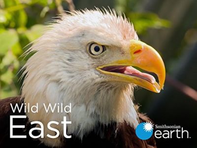 watch-Wild Wild East (2016)