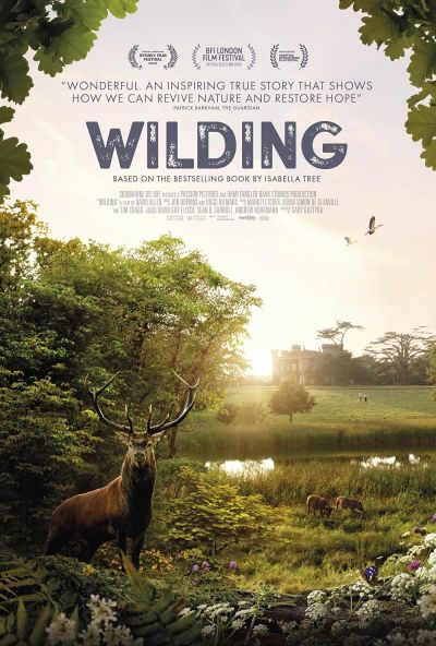 watch-Wilding (2023)